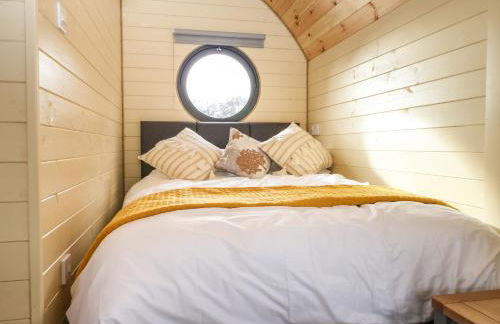 Filbert Pod - Foto 11