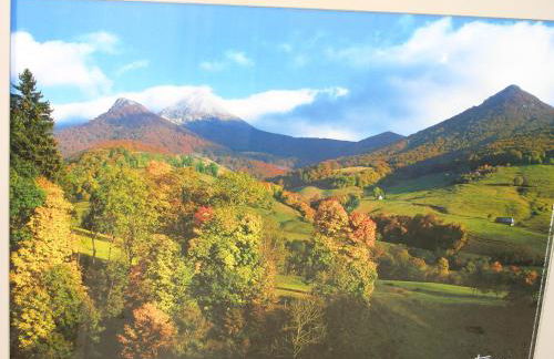 Résidence Espinchal - Photo 13