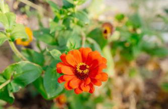 Xerolithia Guesthouse - Photo 54