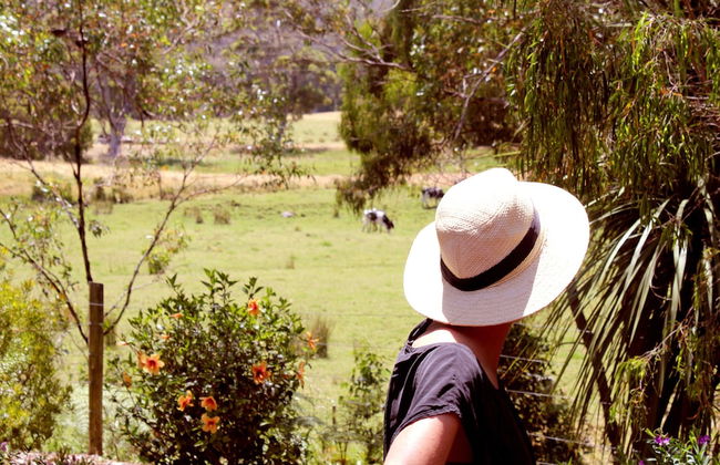 Spring Bay Villas - Foto 21