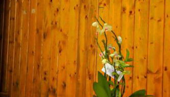 The Courtyard Retreat - Foto 3