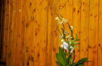 The Courtyard Retreat - Foto 3