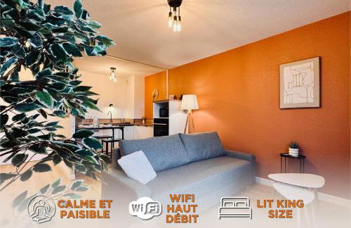 Appartement Graulhet le nid de carivel - Foto 1