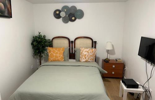 Île des Caraïbes - Foto 15