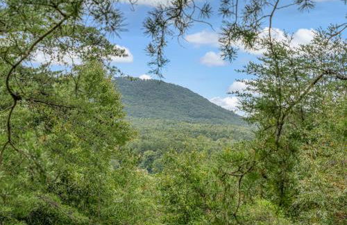 1 bedroom with a loft and hot tub cabin 45 minutes to Asheville - Foto 44