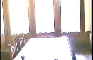 Panoramic Eagle - Photo 45