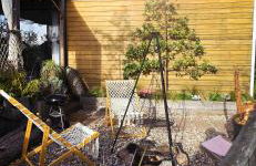 Bosko beztrosko - Foto 7