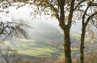 Apartamentos Montes Vindios - Foto 1