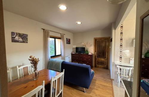 FOGAR CAÑÓN DO SIL - En la Ribeira Sacra - Foto 5