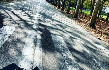 Lupicante 56 Cesenatico - Foto 67