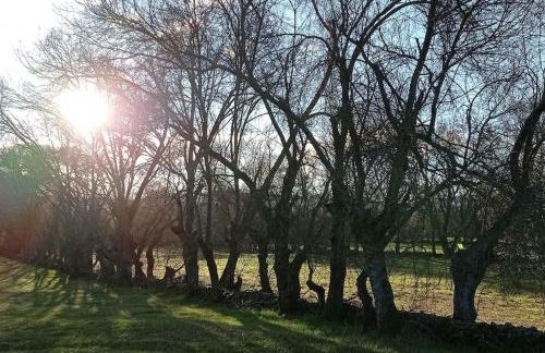 Molino Mellado - Foto 55