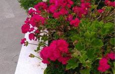 Casa Quinta das Férias - Photo 45