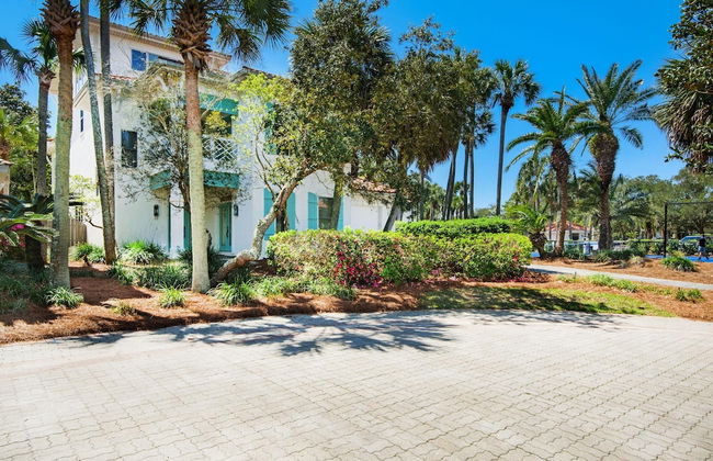 Blue Turtle Dreams - Foto 55