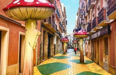 Big Terrace in private Loft on San Francisco street - Photo 27