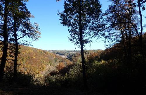 vakantiehuis Hunsrück - Foto 15