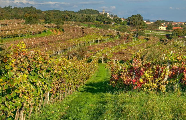 Pool House Ancka - Foto 41