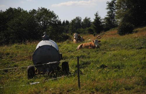 Ferienwohnung Ilke - Foto 18
