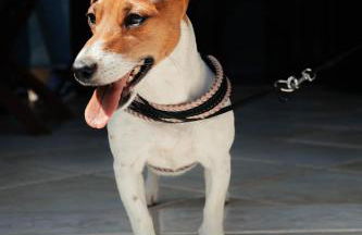 Casa GIO' GIO' Borgo San Basilio - Foto 7