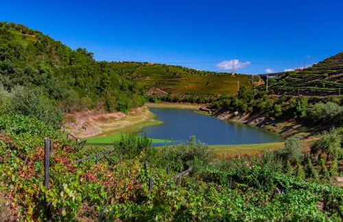 Casa das Flores - Photo 14