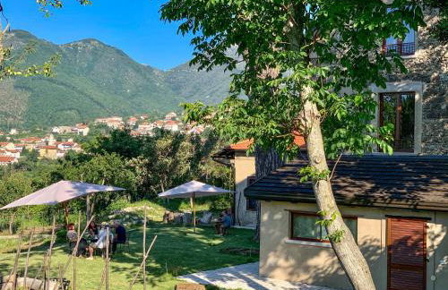 Tenuta Novecento Bio Agriturismo - Foto 16