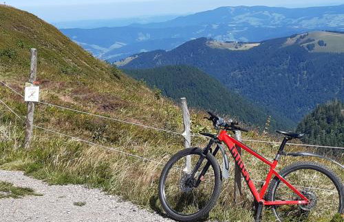 Kopf Frei auf 1000 Meter Wohnung 1 - Foto 36
