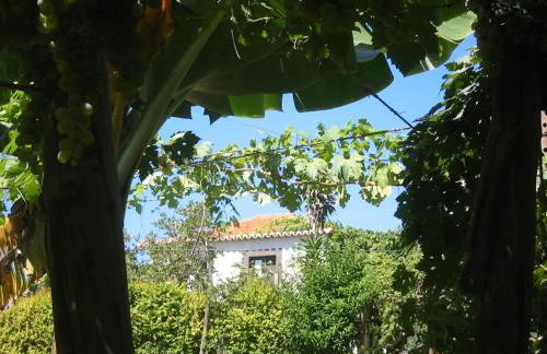 Fajã dos Padres - Foto 39