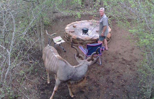 Lion Tree Bush Lodge - Foto 30