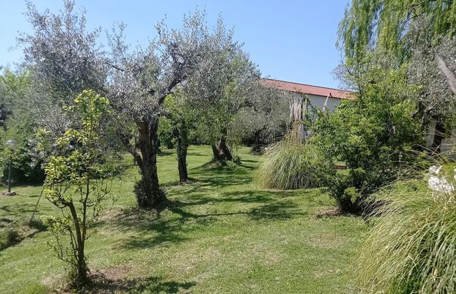 1-bed Apartment Sleeps 2 - Free Parking and Garden - Foto 7