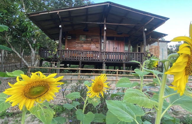 Nokkamin Home Chiang Dao - Photo 40