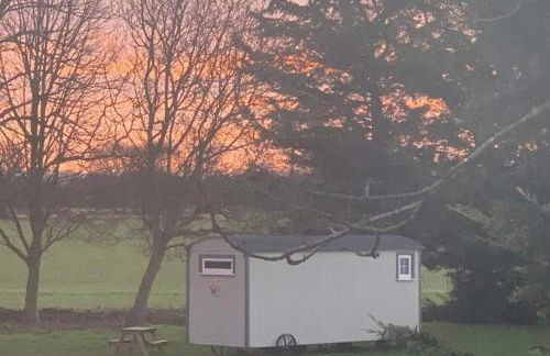 Starry Meadow & Rescued Animal Experiences - Foto 6