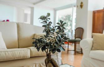 Villa Lilia - Foto 14