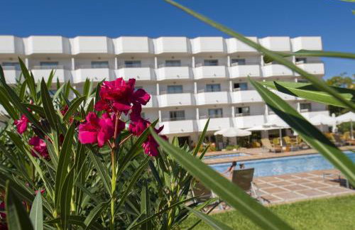 Bon Sol Prestige - AB Group - Photo 8