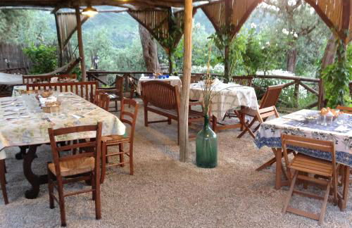 Agriturismo L'Olivara - Foto 43