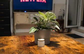 Ruhiges Apartment mit großem Balkon und Stellplatz - Photo 1