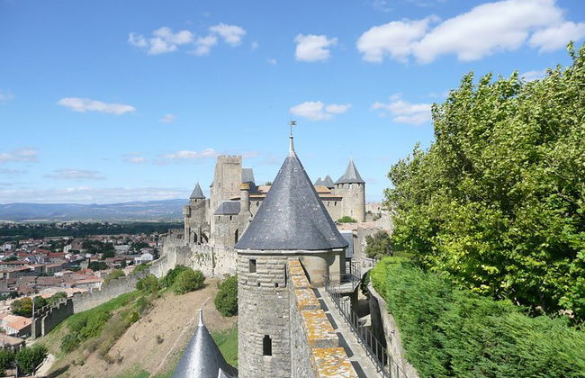 Day tour : Cité de Carcassonne and wine tasting. private tour from Carcassonne. - Photo 1