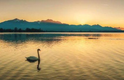 ChiemSeeNest - romantische Ferienwohnung am Chiemsee mit separatem Sommer Seezugang - Photo 18