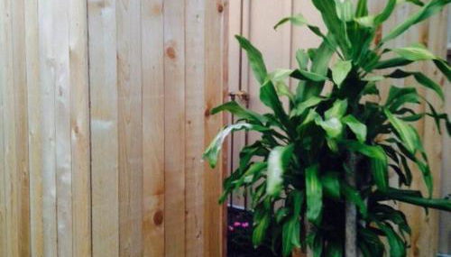 Garden Oasis at Banana Hale Studio - Foto 2