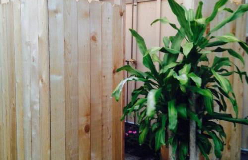 Garden Oasis at Banana Hale Studio - Foto 2