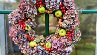 Seeidyll an der Wublitz - Foto 3