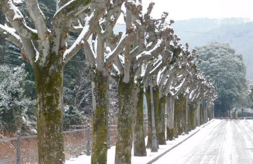 Appartamento rosada - Foto 57