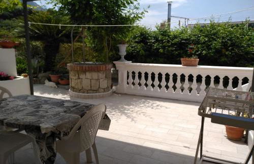 Residence Limoneto Ischia - Foto 58