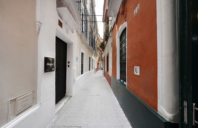 Numa Seville Alegre - Photo 43