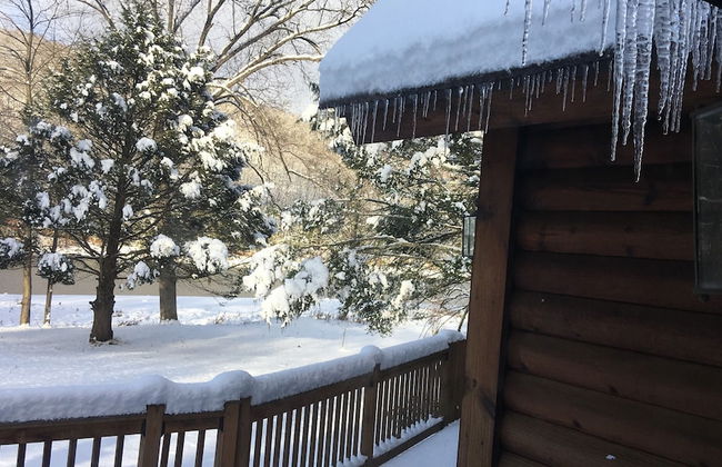 Pocono Dog-Friendly Home on River - Foto 51