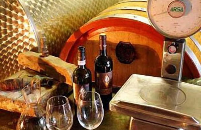 Podere dell'Anselmo - Foto 79