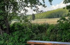 Ferienwohnung im grünen Muldental - Foto 35