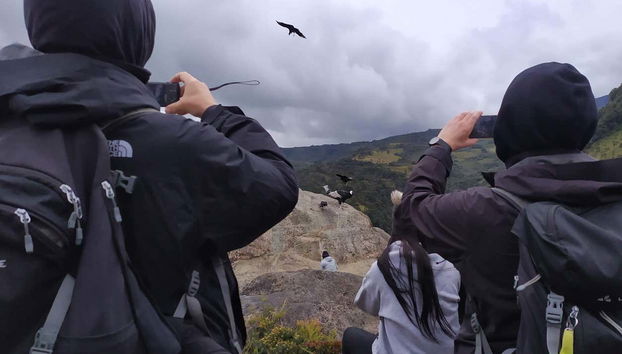 Condor Watching in Puracé + San Juan Hot Springs Tour - Foto 2