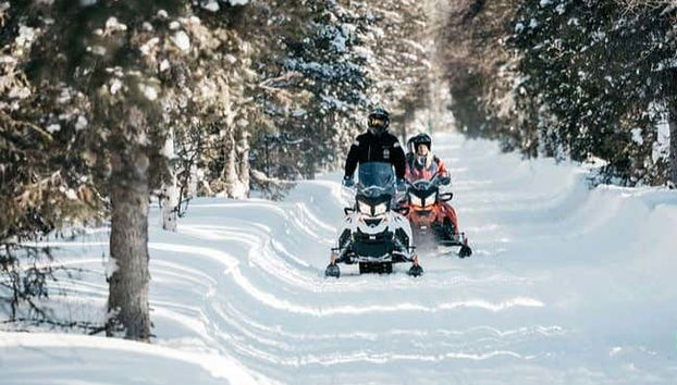 Explorez les forêts de Luosto