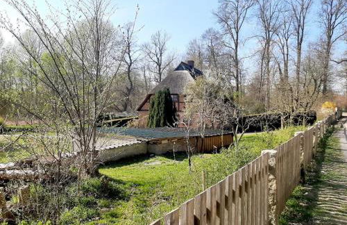 Fischerhaus Whg Sonnenaufgang - Foto 49