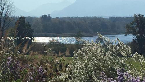 Chiemsee Exklusiv Ferienapartment Schneeganserhof - ein Refugium für längere erholsame Aufenthalte in Alleinlage am Chiemsee - Photo 2, Garden view