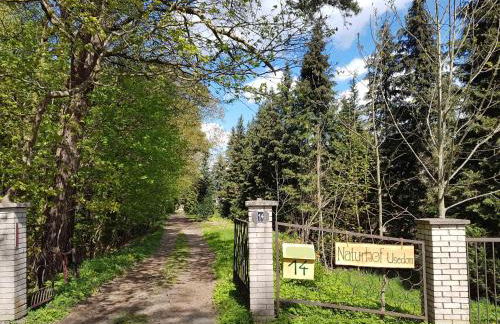 Doppelhaushälfte Nordwind vom Naturhof Usedom - Foto 47